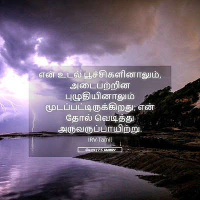 Picture 05 - யோபு 7:5 TAMIRV - என் உடல் - Bible Verse Picture