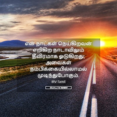 Picture 05 - யோபு 7:6 TAMIRV - என் நாட்கள் - Bible Verse Picture