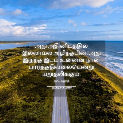 Picture 05 - யோபு 8:18 TAMIRV - அது அதினிடத்தில் - Bible Verse Picture