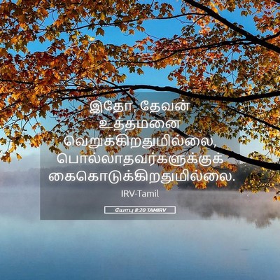 Picture 05 - யோபு 8:20 TAMIRV - இதோ, தேவன் உத்தமனை - Bible Verse Picture