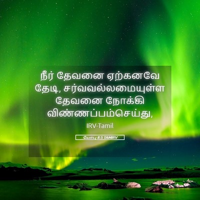 Picture 05 - யோபு 8:5 TAMIRV - நீர் தேவனை - Bible Verse Picture
