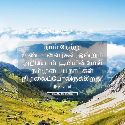 Picture 05 - யோபு 8:9 TAMIRV - நாம் நேற்று - Bible Verse Picture