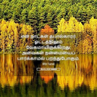 Picture 05 - யோபு 9:25 TAMIRV - என் நாட்கள் - Bible Verse Picture