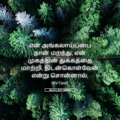 Picture 05 - யோபு 9:27 TAMIRV - என் அங்கலாய்ப்பை - Bible Verse Picture