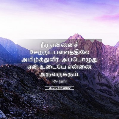 Picture 05 - யோபு 9:31 TAMIRV - நீர் என்னைச் - Bible Verse Picture