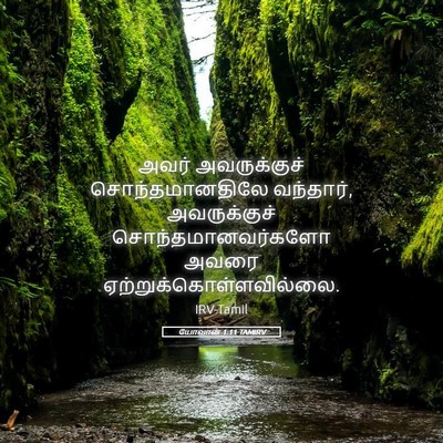 Picture 05 - யோவான் 1:11 TAMIRV - அவர் அவருக்குச் - Bible Verse Picture