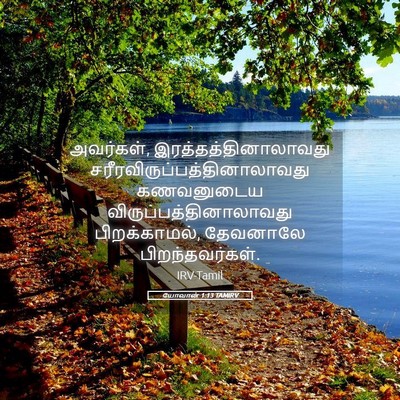 Picture 05 - யோவான் 1:13 TAMIRV - அவர்கள், - Bible Verse Picture