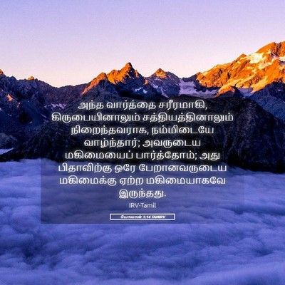 Picture 05 - யோவான் 1:14 TAMIRV - அந்த வார்த்தை - Bible Verse Picture