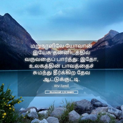 Picture 05 - யோவான் 1:29 TAMIRV - மறுநாளிலே யோவான் - Bible Verse Picture
