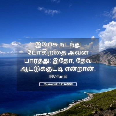 Picture 05 - யோவான் 1:36 TAMIRV - இயேசு நடந்து - Bible Verse Picture