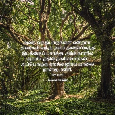 Picture 05 - யோவான் 1:39 TAMIRV - அவர்: - Bible Verse Picture