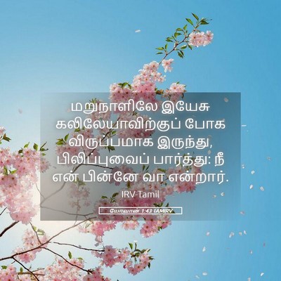 Picture 05 - யோவான் 1:43 TAMIRV - மறுநாளிலே இயேசு - Bible Verse Picture
