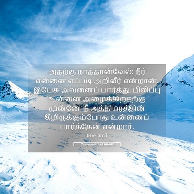 Picture 05 - யோவான் 1:48 TAMIRV - அதற்கு - Bible Verse Picture