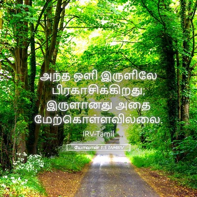 Picture 05 - யோவான் 1:5 TAMIRV - அந்த ஒளி இருளிலே - Bible Verse Picture