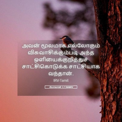 Picture 05 - யோவான் 1:7 TAMIRV - அவன் மூலமாக - Bible Verse Picture