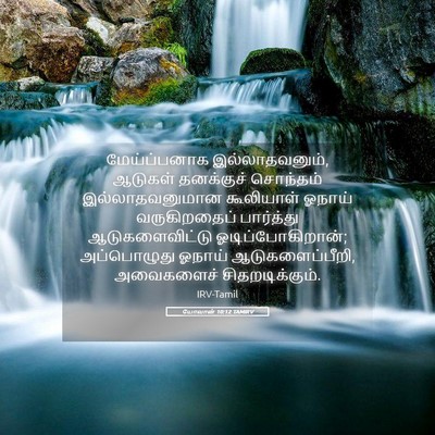 Picture 05 - யோவான் 10:12 TAMIRV - மேய்ப்பனாக - Bible Verse Picture