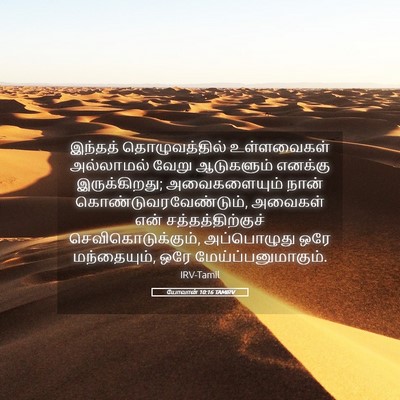 Picture 05 - யோவான் 10:16 TAMIRV - இந்தத் - Bible Verse Picture