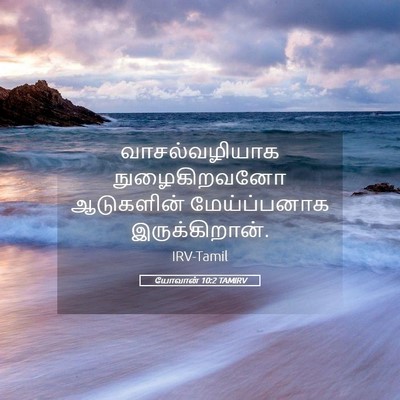 Picture 05 - யோவான் 10:2 TAMIRV - வாசல்வழியாக - Bible Verse Picture