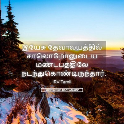 Picture 05 - யோவான் 10:23 TAMIRV - இயேசு - Bible Verse Picture