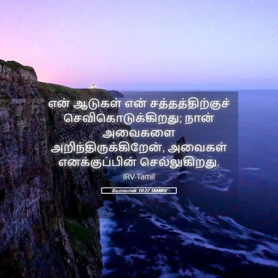 Picture 05 - யோவான் 10:27 TAMIRV - என் ஆடுகள் என் - Bible Verse Picture