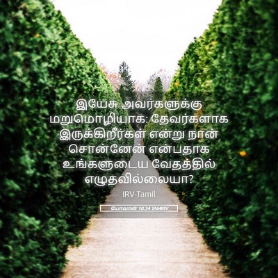 Picture 05 - யோவான் 10:34 TAMIRV - இயேசு அவர்களுக்கு - Bible Verse Picture