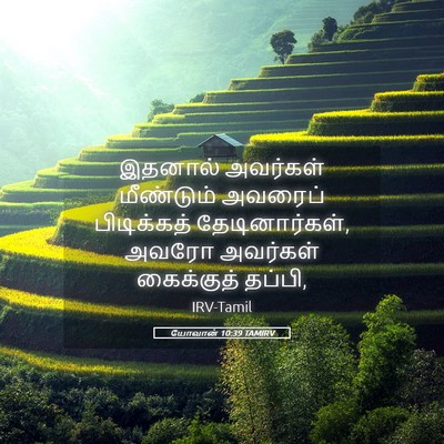 Picture 05 - யோவான் 10:39 TAMIRV - இதனால் அவர்கள் - Bible Verse Picture