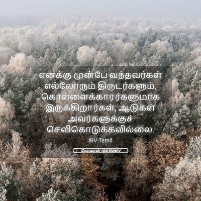 Picture 05 - யோவான் 10:8 TAMIRV - எனக்கு முன்பே - Bible Verse Picture