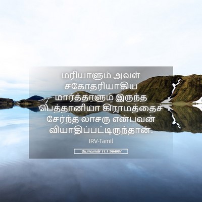 Picture 05 - யோவான் 11:1 TAMIRV - மரியாளும் அவள் - Bible Verse Picture