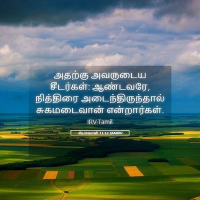 Picture 05 - யோவான் 11:12 TAMIRV - அதற்கு அவருடைய - Bible Verse Picture