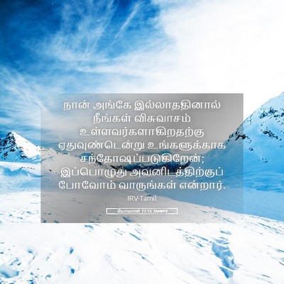 Picture 05 - யோவான் 11:15 TAMIRV - நான் அங்கே - Bible Verse Picture