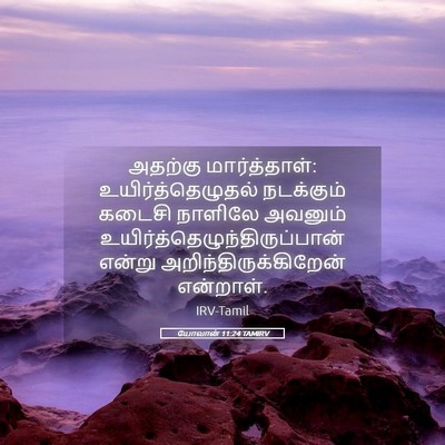 Picture 05 - யோவான் 11:24 TAMIRV - அதற்கு - Bible Verse Picture