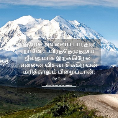 Picture 05 - யோவான் 11:25 TAMIRV - இயேசு அவளைப் - Bible Verse Picture
