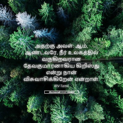 Picture 05 - யோவான் 11:27 TAMIRV - அதற்கு அவள்: ஆம், - Bible Verse Picture