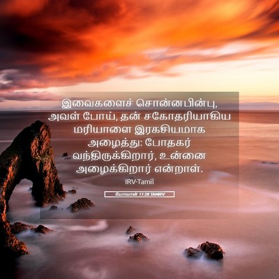 Picture 05 - யோவான் 11:28 TAMIRV - இவைகளைச் - Bible Verse Picture