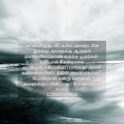 Picture 05 - யோவான் 11:31 TAMIRV - அப்பொழுது, - Bible Verse Picture