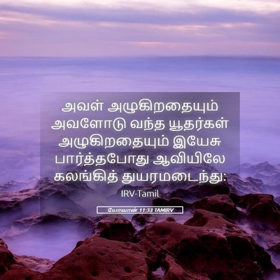 Picture 05 - யோவான் 11:33 TAMIRV - அவள் அழுகிறதையும் - Bible Verse Picture