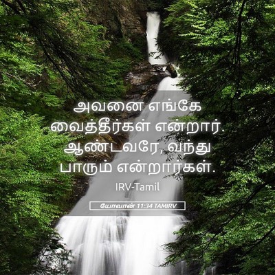 Picture 05 - யோவான் 11:34 TAMIRV - அவனை எங்கே - Bible Verse Picture