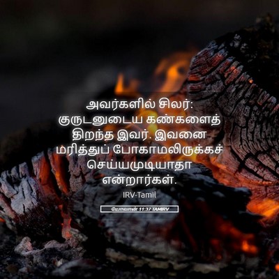Picture 05 - யோவான் 11:37 TAMIRV - அவர்களில் சிலர்: - Bible Verse Picture
