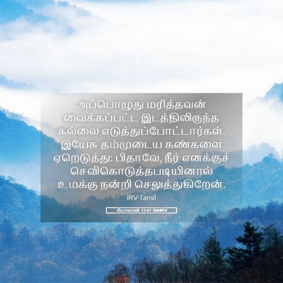 Picture 05 - யோவான் 11:41 TAMIRV - அப்பொழுது - Bible Verse Picture