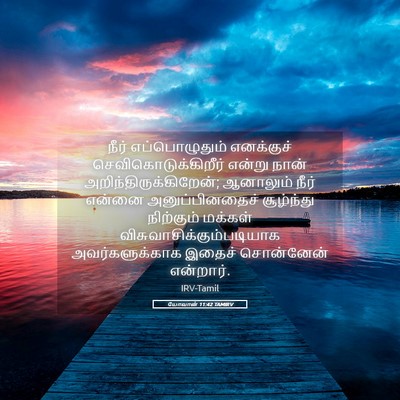 Picture 05 - யோவான் 11:42 TAMIRV - நீர் எப்பொழுதும் - Bible Verse Picture