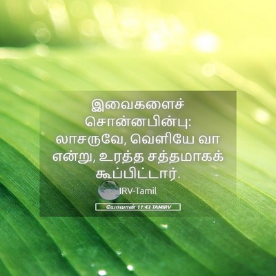 Picture 05 - யோவான் 11:43 TAMIRV - இவைகளைச் - Bible Verse Picture