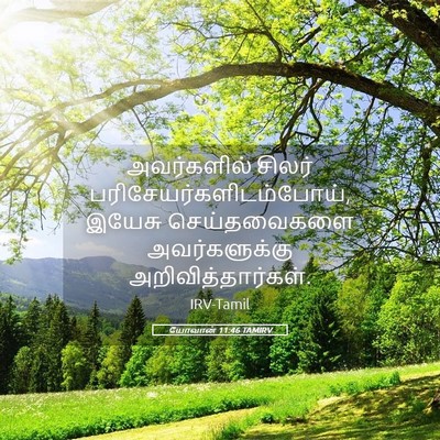 Picture 05 - யோவான் 11:46 TAMIRV - அவர்களில் சிலர் - Bible Verse Picture
