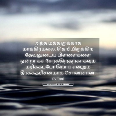 Picture 05 - யோவான் 11:52 TAMIRV - அந்த மக்களுக்காக - Bible Verse Picture
