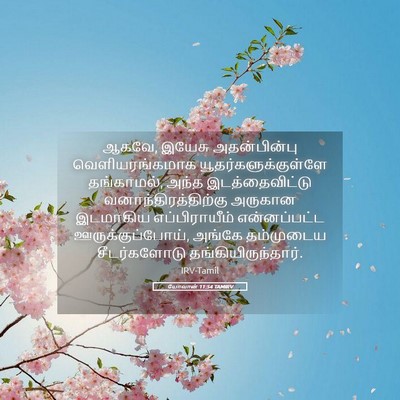 Picture 05 - யோவான் 11:54 TAMIRV - ஆகவே, இயேசு - Bible Verse Picture