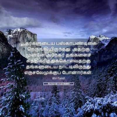 Picture 05 - யோவான் 11:55 TAMIRV - யூதர்களுடைய - Bible Verse Picture