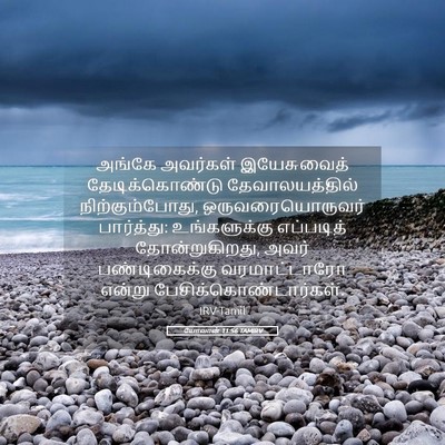 Picture 05 - யோவான் 11:56 TAMIRV - அங்கே அவர்கள் - Bible Verse Picture