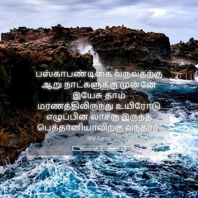 Picture 05 - யோவான் 12:1 TAMIRV - பஸ்காபண்டிகை - Bible Verse Picture