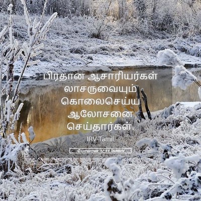 Picture 05 - யோவான் 12:11 TAMIRV - பிரதான - Bible Verse Picture