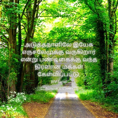 Picture 05 - யோவான் 12:12 TAMIRV - அடுத்தநாளிலே - Bible Verse Picture