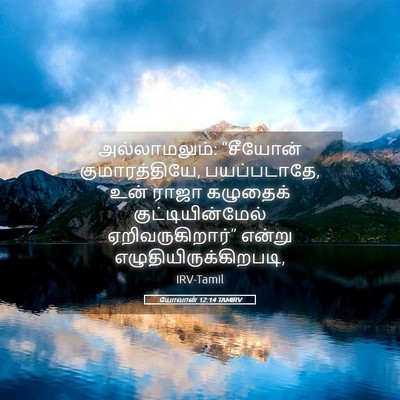 Picture 05 - யோவான் 12:14 TAMIRV - அல்லாமலும்: - Bible Verse Picture
